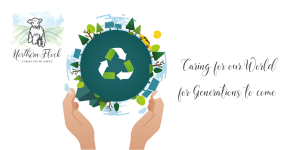 Northern Flock sustainability Blog Image - caring for our world for generations to come