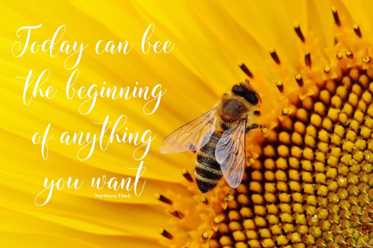 Today can bee the beginning of anything you want