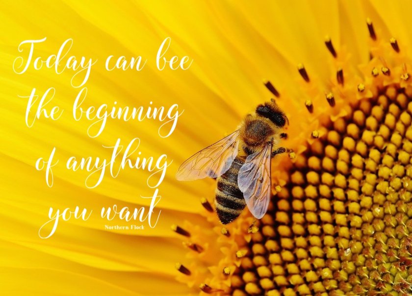 Today can bee the beginning of anything you want